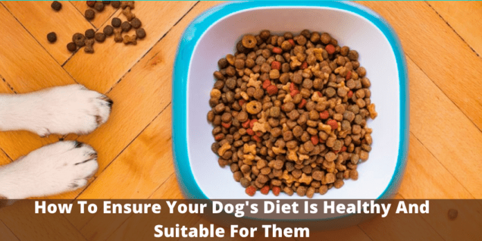 How To Ensure Your Dog's Diet Is Healthy And Suitable For Them