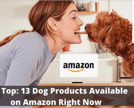 The Top: 13 Dog Products Available on Amazon Right Now – 2021 The Top: 13 Dog Products Available on Amazon Right Now - 2021