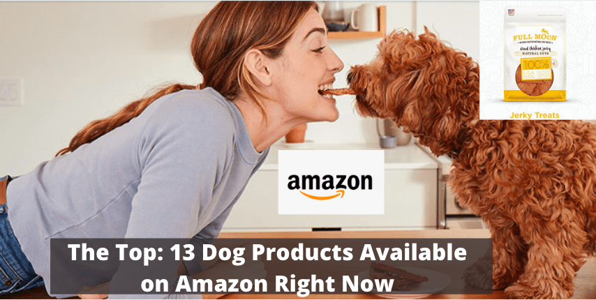 The Top: 13 Dog Products Available on Amazon Right Now - 2021