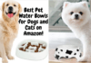 Best Pet Water Bowls for Dogs and Cats on Amazon – 2022! (Reviews) Best Pet Water Bowls for Dogs and Cats on Amazon - 2021 & 2022!