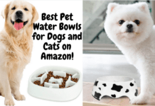 Best Pet Water Bowls for Dogs and Cats on Amazon – 2022! (Reviews) Best Pet Water Bowls for Dogs and Cats on Amazon - 2021 & 2022!