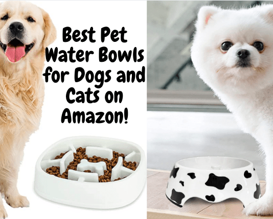 Best Pet Water Bowls for Dogs and Cats on Amazon – 2022! (Reviews) Best Pet Water Bowls for Dogs and Cats on Amazon - 2021 & 2022!