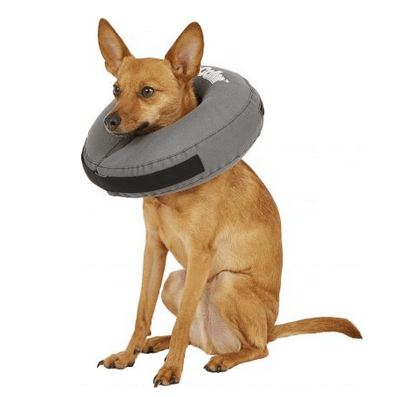 ZenPet ZenCollar Inflatable Dog Cone - Best Fit