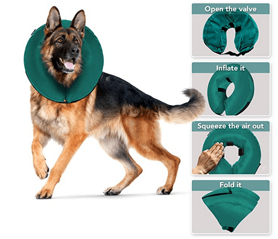 Best Inflatable Collar: ProCollar Protective Inflatable Dog Recovery Collar