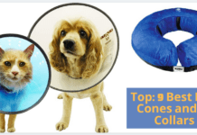 Top: 9 Best Dog Cones & E-Collars (Recovery+Remedy) The Top: 9 Best Dog Cones and E-Collars (Recovery+Remedy)
