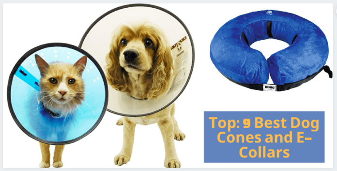 The Top: 9 Best Dog Cones and E-Collars (Recovery+Remedy)