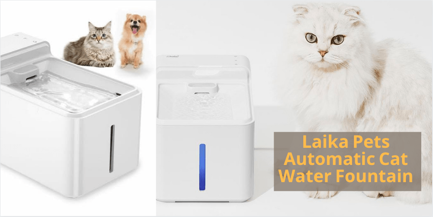 Keep Your Cat Stay Hydrated With Laika Pets Automatic Cat Water Fountain