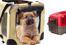 Top 7 Best Small Dog Crates for Smaller Pets 2025 (Customers Reviews) The Best Small Dog Crates for Smaller Dogs