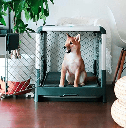 Diggs Revol Collapsible Dog Crate 