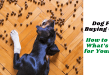 Dog Food Buying Guide: How to Know What’s Right for Your Dog? Dog Food Buying Guide: How to Know What’s Right for Your Dog?