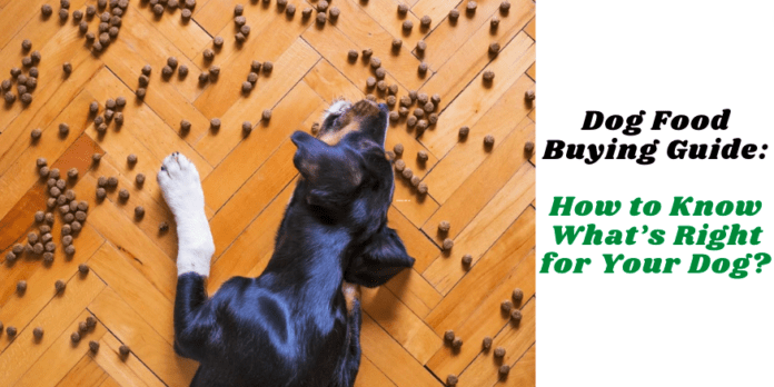 Hướng dẫn mua thức ăn cho chó: Làm thế nào để biết loại nào phù hợp với con chó của bạn?