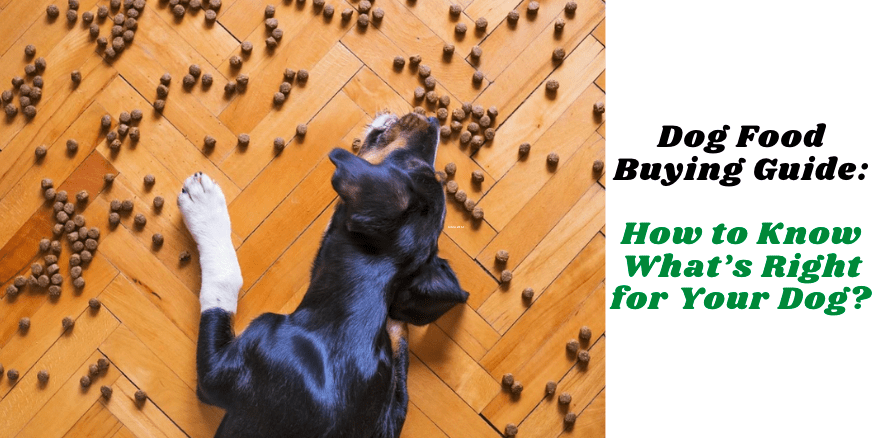 Dog Food Buying Guide: How to Know What’s Right for Your Dog?