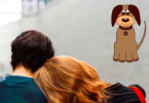 Adopt a Dog: Useful Tips That Can Help You Avoid Relapsing As An Addict Adopt a Dog: Useful Tips That Can Help You Avoid Relapsing As An Addict