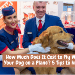 How Much Does It Cost to Fly With Your Dog on a Plane? 5 Tips to know