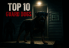 5 Top 10 Best Guard Dogs for Home Security (Must-See List)