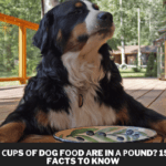 Hоw mаny сuрs оf dоg fооd аre in а роund? 15 Dog Food Facts to Know