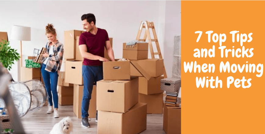 7 Top Tips and Tricks When Moving With Pets