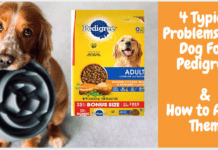 5 Typical Problems with Dog Food Pedigree, and How to Avoid Them! 4 Typical Problems with Dog Food Pedigree, and How to Avoid Them!