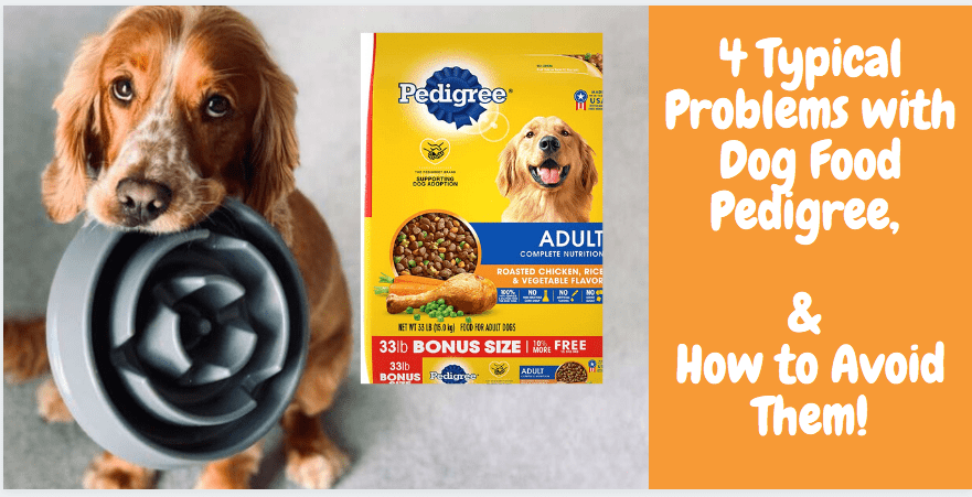 4 Typical Problems with Dog Food Pedigree, and How to Avoid Them!