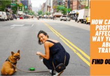 How Can Dogs Positively Affect The Way You Feel About Travel? How Can Dogs Positively Affect The Way You Feel About Travel? Find Out Here