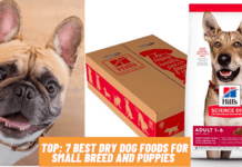 Top: 7 Best Dry Dog Foods For small breed 2021 (+ Bad for dogs) Top: 7 Best Dry Dog Foods For small breed and Puppies 2021
