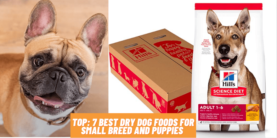 Top: 7 Best Dry Dog Foods For small breed and Puppies 2021