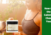 How to Find the Best Calming CBD Chews for Your Dog How to Find the Best Calming CBD Chews for Your Dog