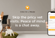 Online Vet: What to Know About Telemedicine and Pet Insurance Alternatives Online Vet: What to Know About Telemedicine and Pet Insurance Alternatives