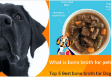 What is bone broth for pets? Top 5 Best bone broth for Dogs What is bone broth for pets? Top 5 Best bone broth for Dogs