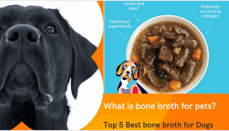 What is bone broth for pets? Top 5 Best bone broth for Dogs