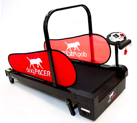 DogPACER treadmill for small dogs
