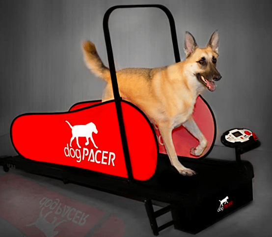 Full Size Pacer Dog Treadmill 91641 LF 3.1