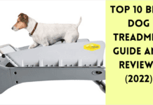 Top 10 Best Dog Treadmill Guide and Reviews (2022) Top 10 Best Dog Treadmill Guide and Reviews (2022)