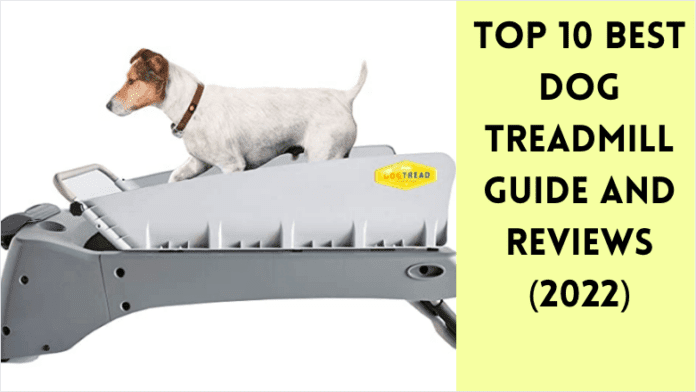 10 найкращих посібників з бігової доріжки для собак та оглядів (2022)