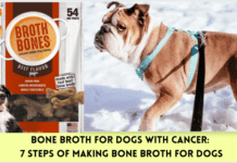 Bone Broth for dogs with cancer: 7 Steps of making bone broth for dogs Bone Broth for dogs with cancer: 7 Steps of making bone broth for dogs