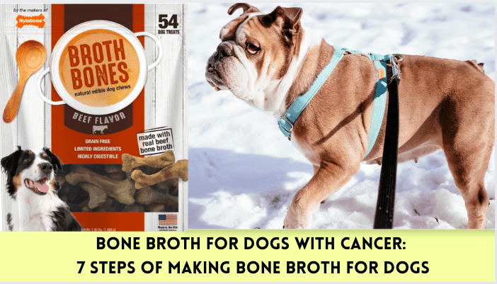 Bone Broth for dogs with cancer: 7 Steps of making bone broth for dogs