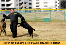 How to Escape and Evade Tracking Dogs – 10 Basic Tips to Know How to Escape and Evade Tracking Dogs - 7 Basic Tips