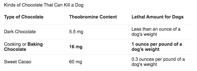 How much chocolate will kill a dog - facts