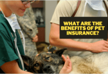 What Are the Benefits of Pet Insurance? What Are the Benefits of Pet Insurance?