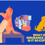 What is pet insurance and why is it so expensive? [ The Complete Guide ]