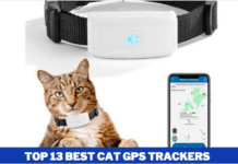 Top 13 Best Pet GPS Trackers in 2022 (The Complete Guide to Pet Tracking) Top 13 Best Cat GPS Trackers in 2021 (The Complete Guide to Pet Tracking)