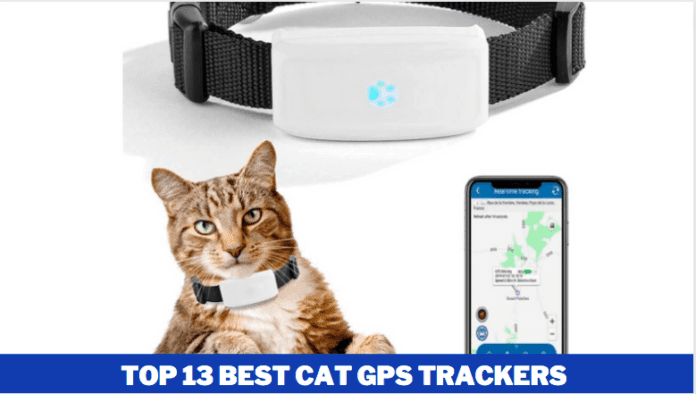 Top 13 Best Cat GPS Trackers in 2021 (The Complete Guide to Pet Tracking)