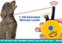 Do shock collars traumatize dogs? Top 9 Best dog shock collars for 2022 Top 9 of the Best Dog Training Shock Collars for 2022 – (Reviews)