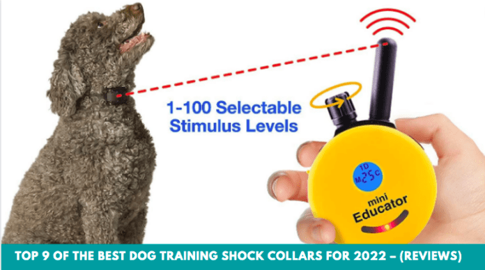 Top 9 of the Best Dog Training Shock Collars for 2022 – (Reviews)