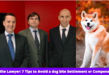 Dog Bite Lawyer: 7 Tips to Avoid a dog bite Settlement or Compensation Dog Bite Lawyer: 7 Tips to Avoid a dog bite Settlement or Compensation