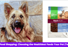 Dog Food Shopping: Top 9 Healthiest Foods for Your Pet (Reviews) Dog Food Shopping: Top 10 Healthiest Foods for Your Pet (Reviews)