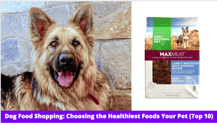 Dog Food Shopping: Top 10 Healthiest Foods for Your Pet (Reviews)