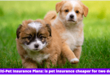 Multi-Pet Insurance Plans: is pet insurance cheaper for two dogs?(10 Tips) Multi-Pet Insurance Plans: is pet insurance cheaper for two dogs?
