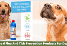 Top 6 Flea And Tick Prevention Products For Dogs – In 2022 (Reviews) Top 6 Flea And Tick Prevention Products For Dogs - In 2022 (Reviews)