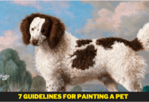7 Guidelines For Painting A Pet – Complete Guide 7 Guidelines For Painting A Pet - The Complete Guide